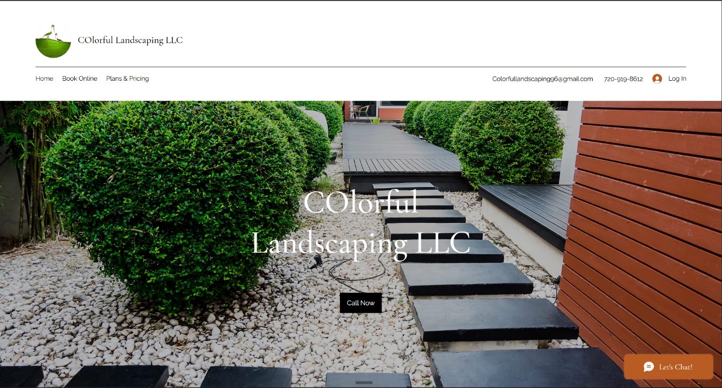 Website before redesign